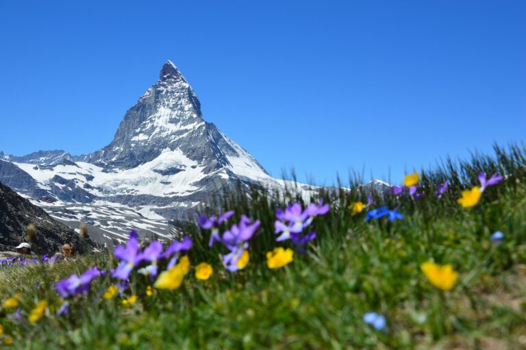 Matterhorn Mountain Eveolene - Chamonix to Zermatt