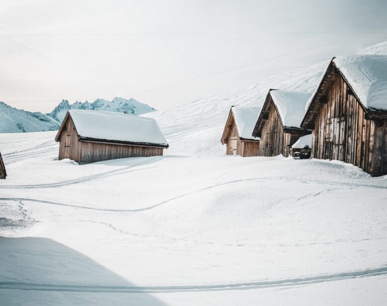 snowshoeing 5