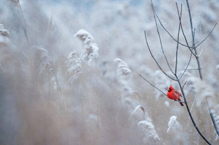 winter 7